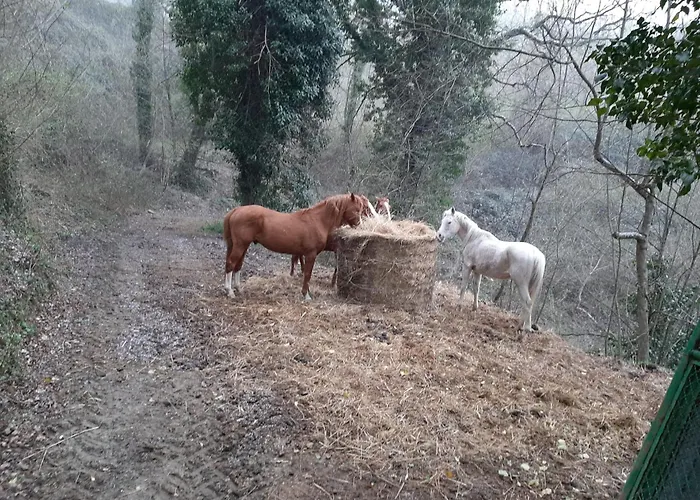Agriturismo Antica Corte