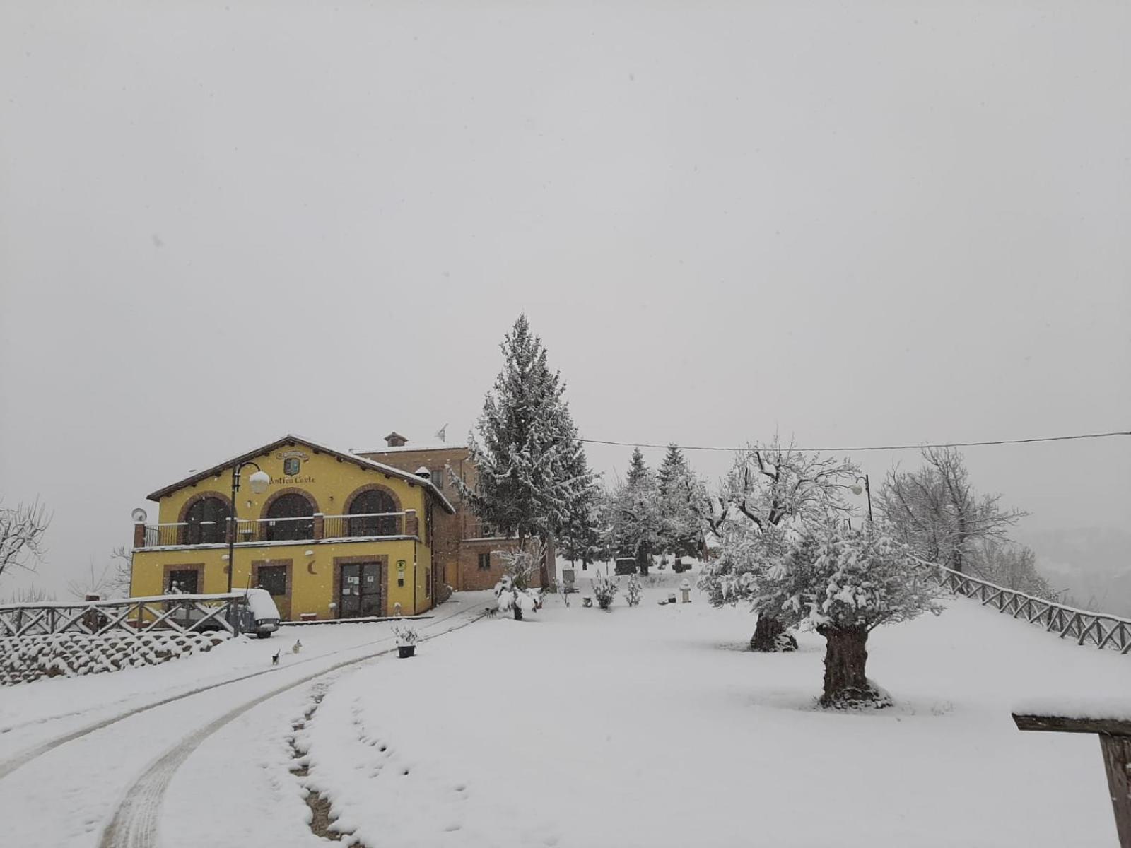 Antica Corte Farm stay *